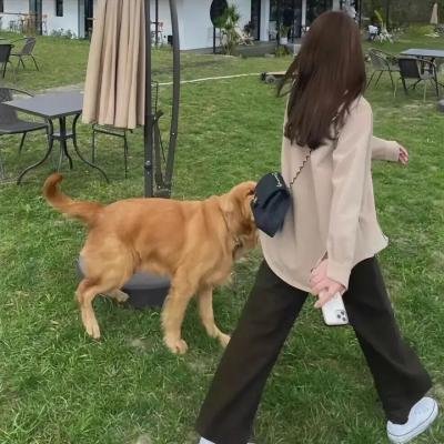 无处可去的女人焦点海报