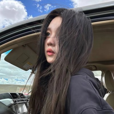 小迪克西海报